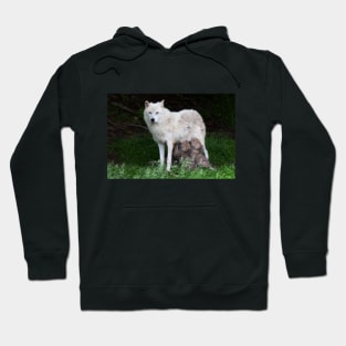 Remus and Romulus - Arctic Wolf Hoodie